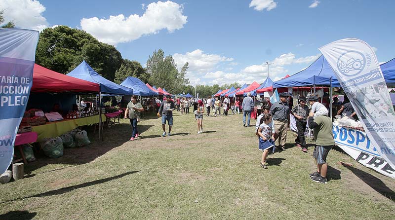 20180919 brown1 Expo Granja 2018