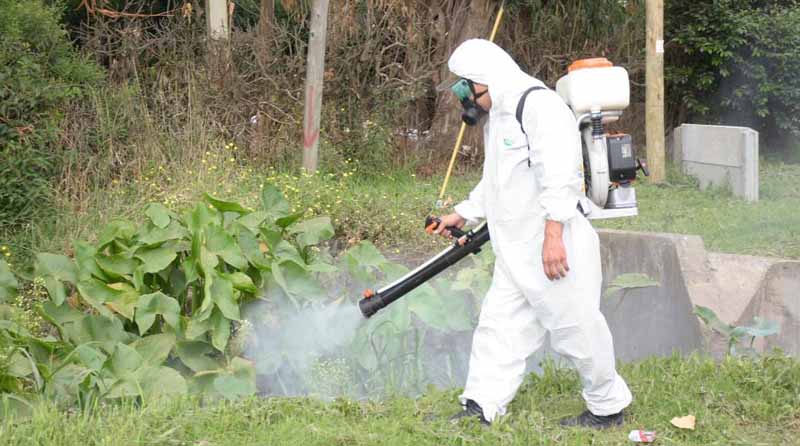 20181227 brown2 Operativos de fumigación contra el dengue