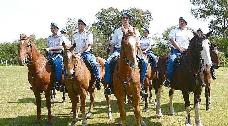 20180511 brown2 Detenido por robar caballos en Ministro Rivadavia