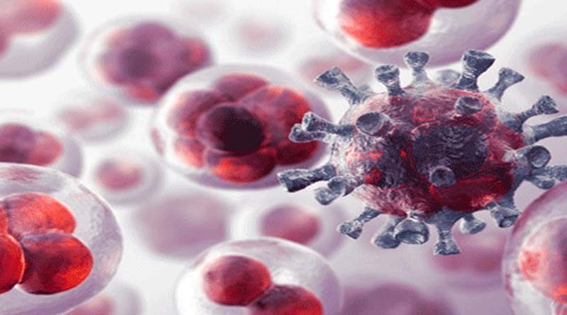20180615 nac2 Medicación viva para vencer células cancerígenas