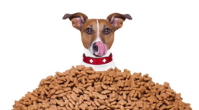 20180828 brown6 Alimentos para mascotas
