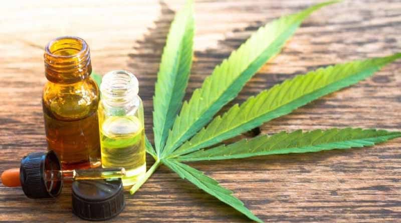 20190412 brown6 Buscan que el Estado distribuya cannabis medicinal