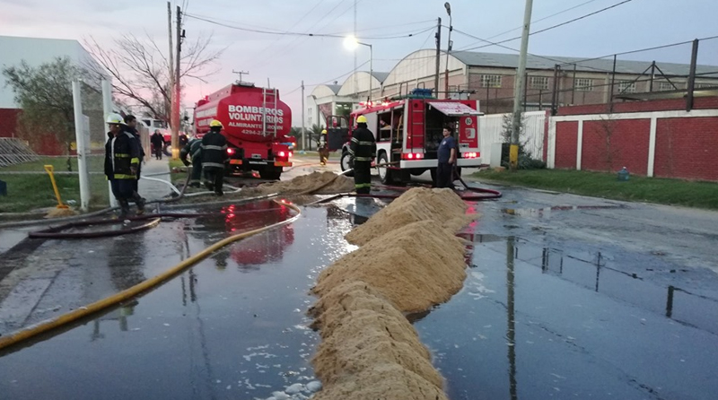 Cinco dotaciones de Bomberos de Almirante Brown controlaron un incendio ...