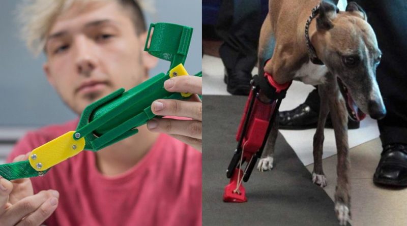 20191111 tendencia Joven que crea prótesis y sillas para perros