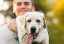 ¿Las mascotas disminuyen el sentimiento de soledad? ¿Las mascotas disminuyen el sentimiento de soledad?
