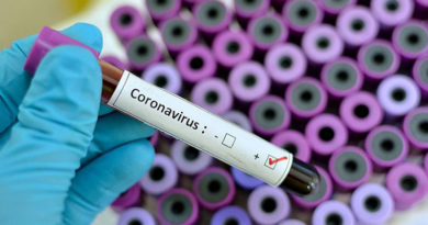 2020 04 19 casos de coronavirus 2222 Alerta por cursos engañosos de auxiliar veterinario