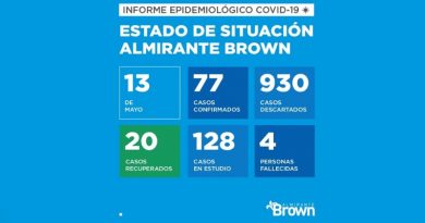 2020 05 13 covid 19 alte brown coronavirus en Almirante Brown