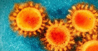 20200528 virus aerosoles humanos