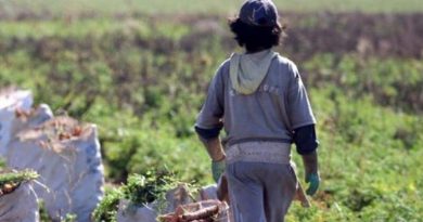 20200612 trabajo infantil trabajo infantil agrario