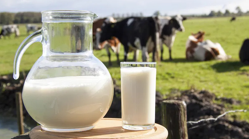 20201001 LECHE LACTEOS Argentina vuelve a exportar lácteos