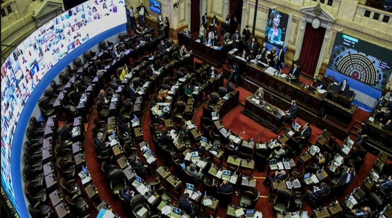 20201006 diputados camara sesion virtual presupuesto del gobierno de Alberto Fernández