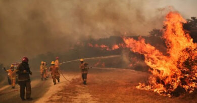20201010 proyecto tierras incendiadas Mimí Johnston de De Vicenzo