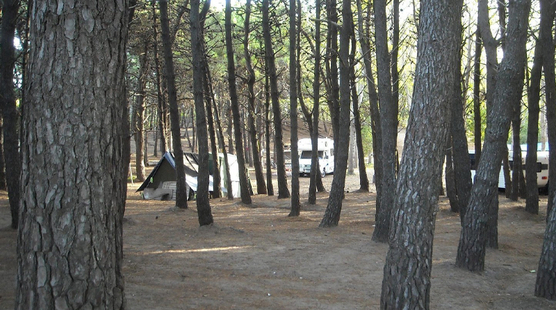 20201112 camping campings