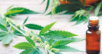 20201117 cannabis cannabis provincia de buenos aires