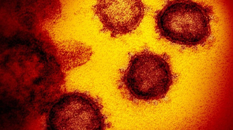 20201223 CORONAVIRUS nueva cepa nuevas cepas del coronavirus