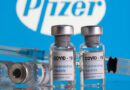 Pfizer comienza a probar su vacuna en embarazadas: habrá voluntarias argentinas Pfizer comienza a probar su vacuna en embarazadas: habrá voluntarias argentinas