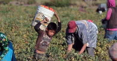 20210316.Trabajo esclavo 48% de niños pobres y 10% de niños que pasan hambre