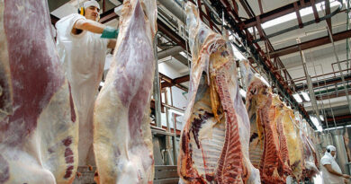 202100517 carne Eliminación del Ministerio de Salud
