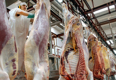 Crisis en la industria frigorífica: despidos y parálisis en Santa Fe y La Pampa