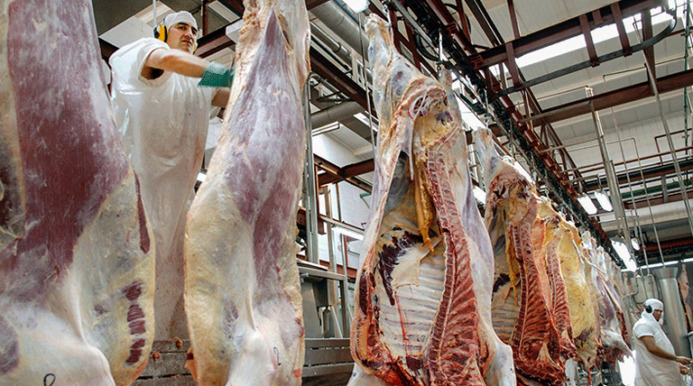 202100517 carne exportaciones de carne vacuna