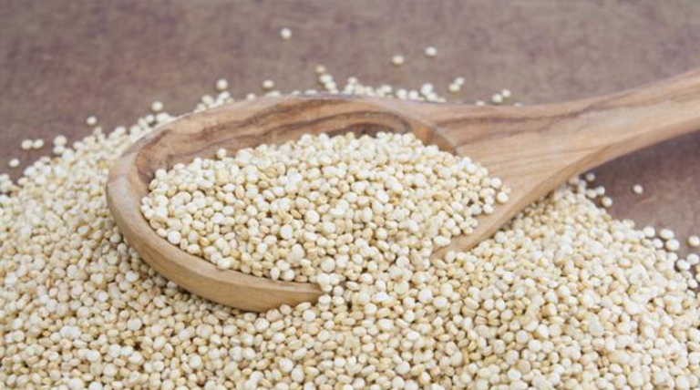20210626 QUINOA alimento bebible a base de Quinoa
