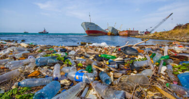 20210906 Ambiente plasticos contaminacion basura 1 Plastico basura
