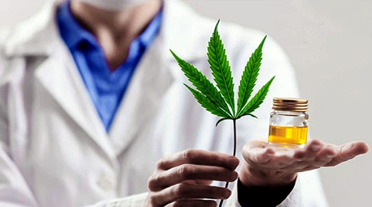 20210915 Cannabis Cannabis medicinal