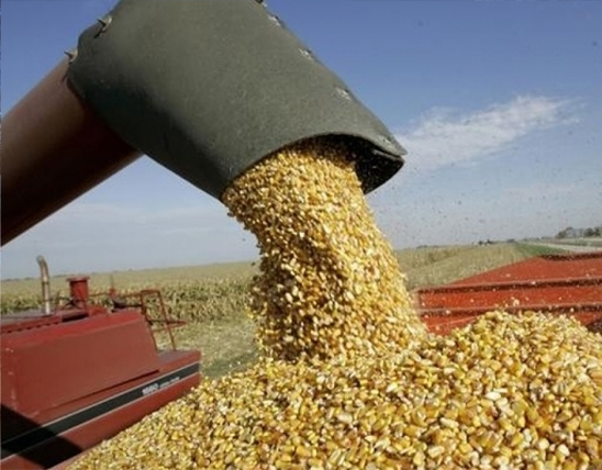 20211201 Exportaciones cereales1 agroexportaciones