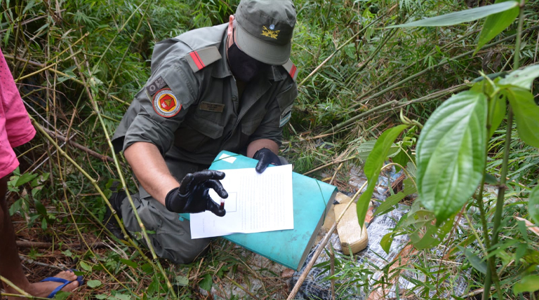 20220104 Gendarmeria operativo1 marihuana