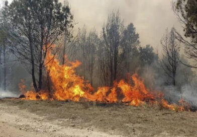 Tragedia ambiental en Chubut: el fuego acecha Cholila y denuncian abandono estatal
