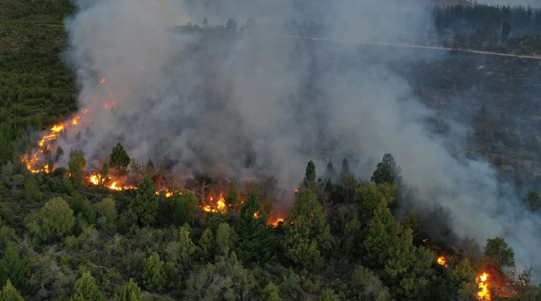 20220112 Incendio1 Incendios forestales