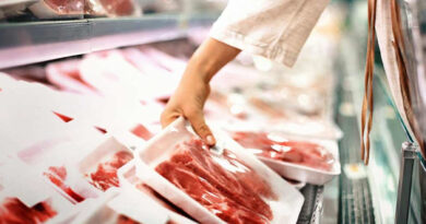 20220207 Carne prohíben pirotecnia sonora en actos públicos