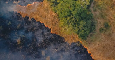 20220218 Incendio Corrientes Medio Ambiente