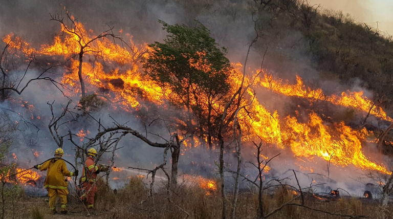 20220817 Incendios incendios forestales