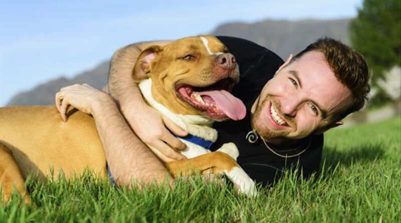 ¿Por qué la compañía de un perro es más relajante que la de un amigo? 1 perro perro