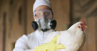 20230216 aviar gripe masticar chicle