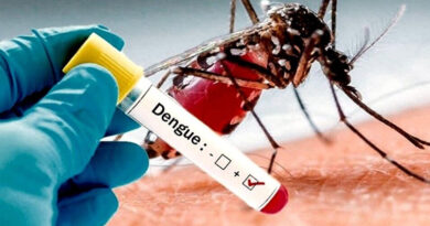 20230522 dengue controles de Semana Santa