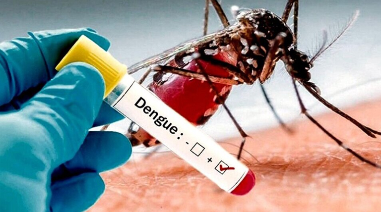 20230522 dengue
