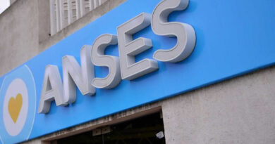 20230702 anses hospitales buenos aires