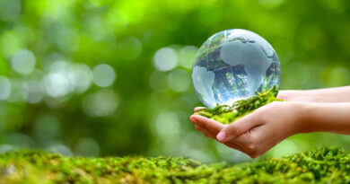 202400325 Dia Mundial del Clima ecologia paneta verde NELSON MANDELA