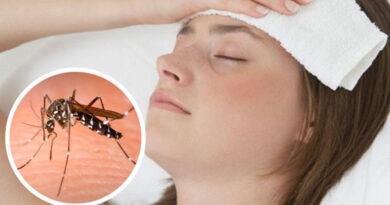 20240408 Dengue sintomas Día del animal en Callejeritos Alte Brown