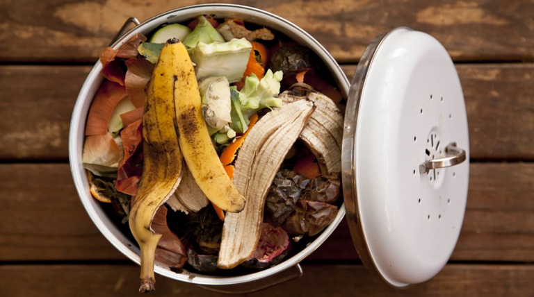 El desperdicio de alimentos: Una realidad que nos condena