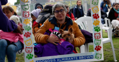 En la previa del “Día del Animal”, Zoonosis Brown y de Lomas brindaron 900 prestaciones a perros y gatos