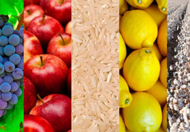 El «Semáforo» de Coninagro enciende las alarmas: economías regionales en caída libre por la apertura importadora de Milei