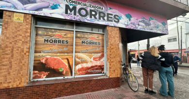 20240619 Brown carne Morres