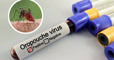 20240821 Oropouche Virus Mosquito pandemia osteoporosis