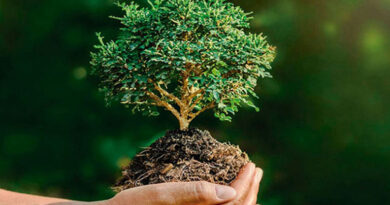 Día de la Protección a la Naturaleza: un llamado urgente a preservar el futuro