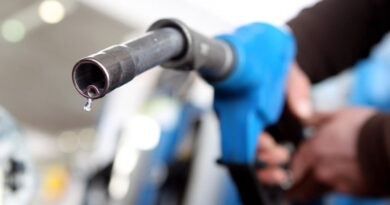 20241101 Combustibles nafta estacion de servicio Abuelas y otros organismos de DDHH