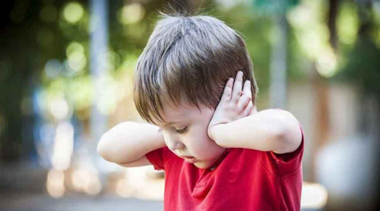 20241223 Brown pirotecnia autismo pirotecnia sonora