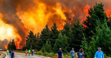 20250128 Incendio patagonia epuyen